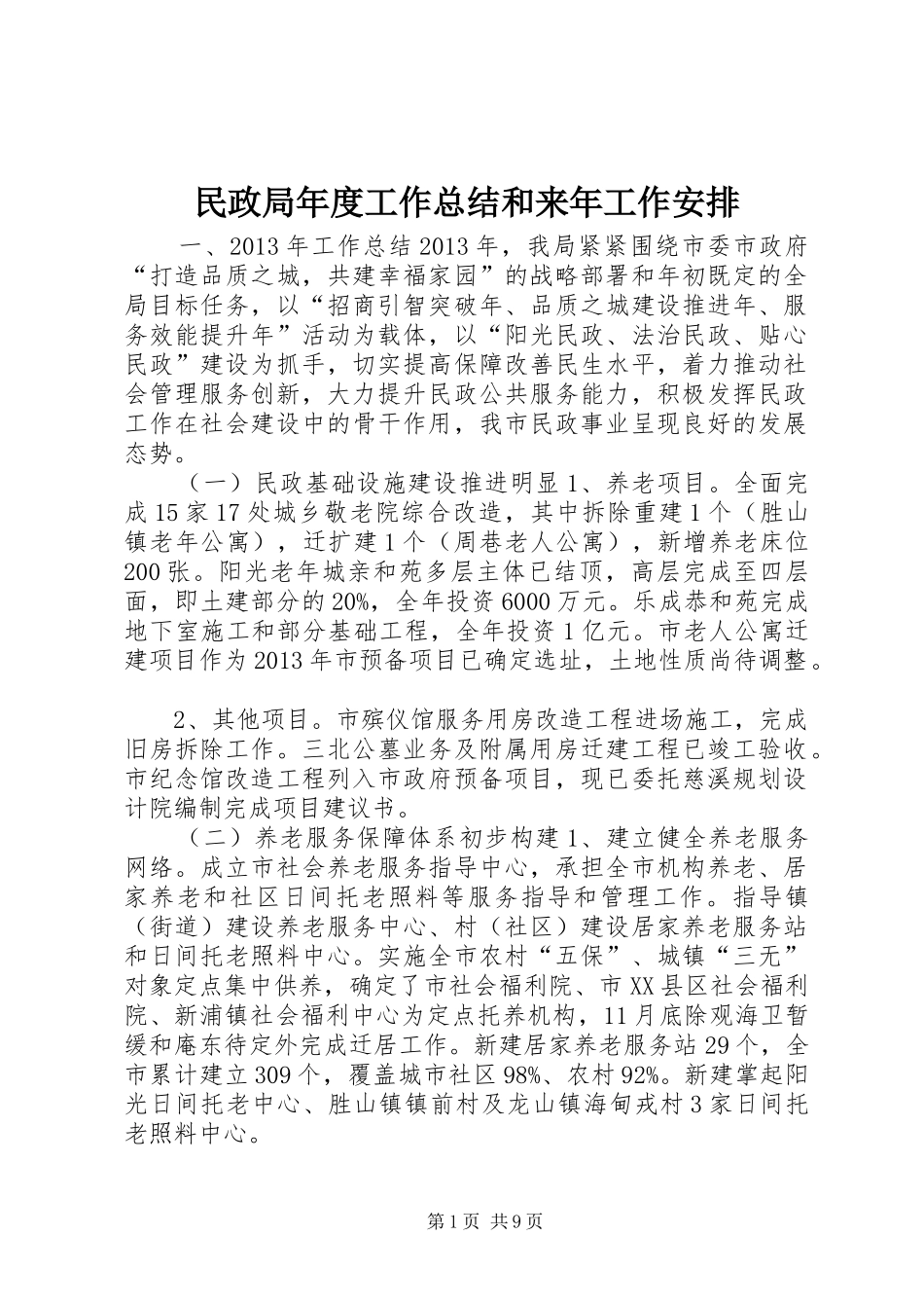 民政局年度工作总结和来年工作安排_第1页