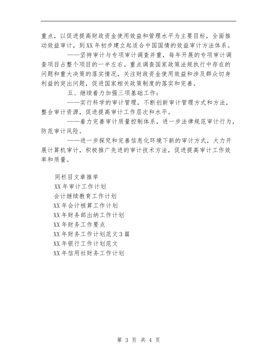 2024年审计工作发展规划-_第3页