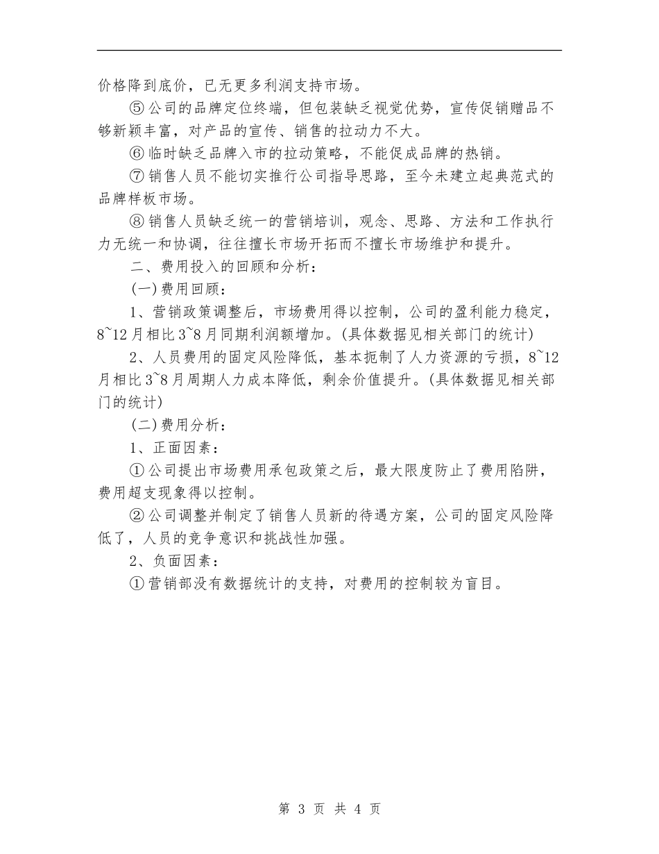 2024年7月销售总监工作总结_第3页