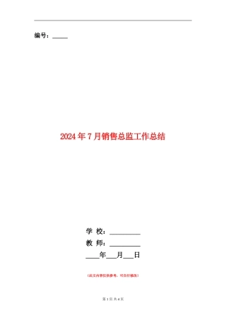 2024年7月销售总监工作总结