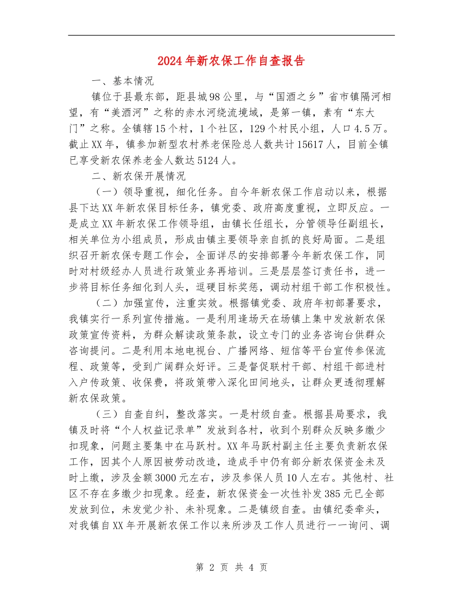 2024年新农保工作自查报告_第2页
