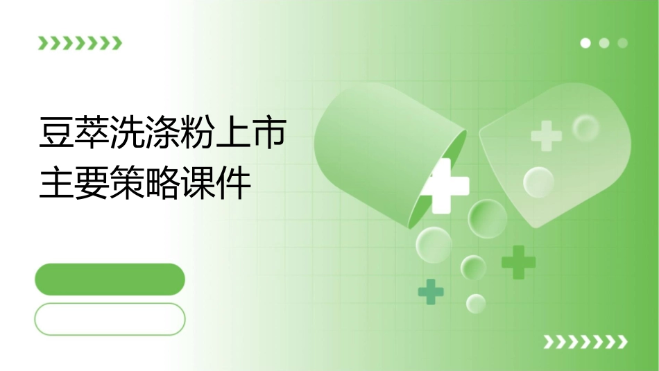 豆萃洗涤粉上市主要策略课件_第1页