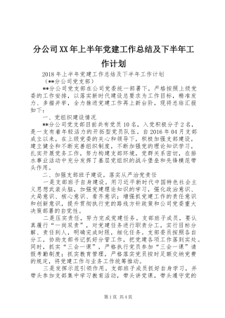 分公司XX年上半年党建工作总结及下半年工作计划