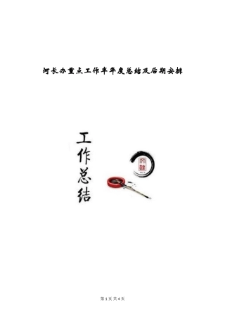 河长办重点工作半年度总结及后期安排