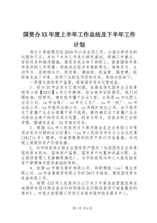 国资办XX年度上半年工作总结及下半年工作计划