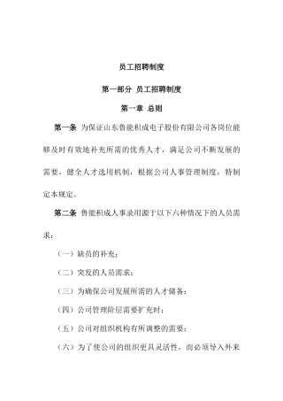 某某电子股份有限公司员工招聘制度
