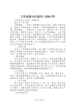 工作总结与计划书,(4500字)
