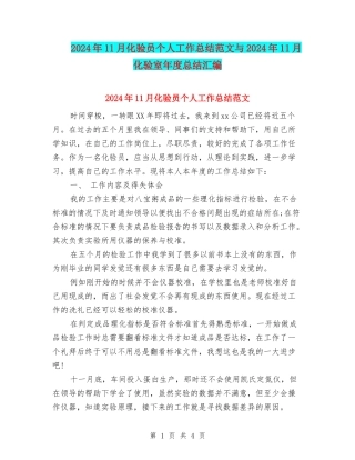 2024年11月化验员个人工作总结范文与2024年11月化验室年度总结汇编