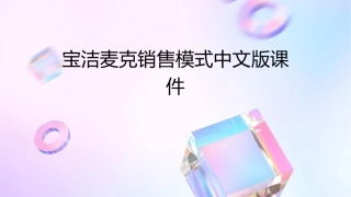 宝洁麦克销售模式中文版课件