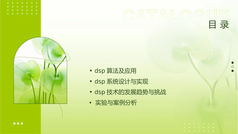 本科DSP原理与应用绪论课件_第2页