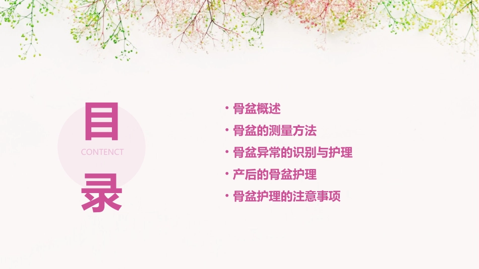 骨盆的测量方法护理课件_第2页