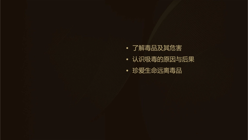 禁毒教育主题班会《远离毒品珍爱生命》课件_第2页