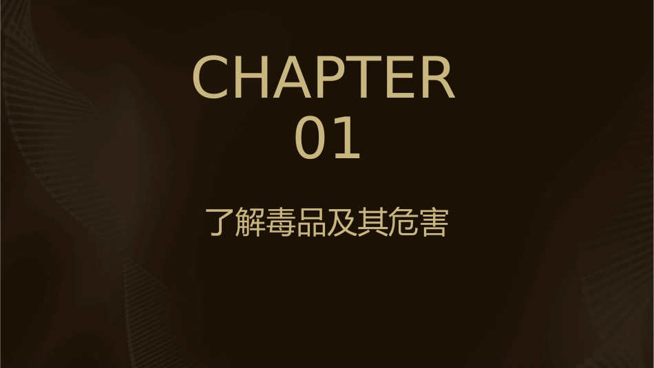 禁毒教育主题班会《远离毒品珍爱生命》课件_第3页