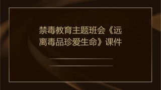 禁毒教育主题班会《远离毒品珍爱生命》课件