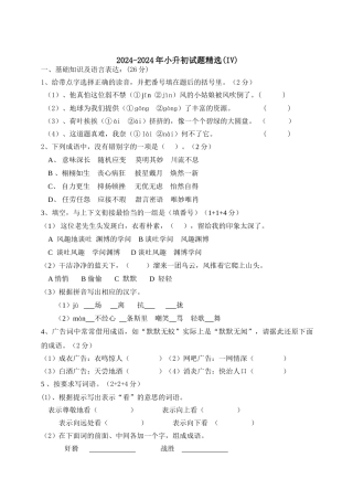 2024-2024年小升初试题精选(IV)