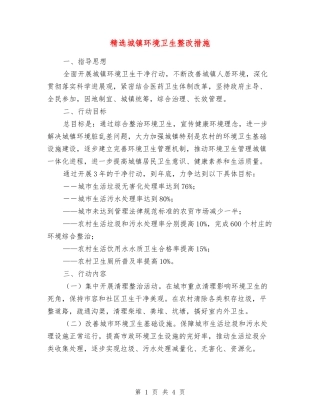 城镇环境卫生整改措施