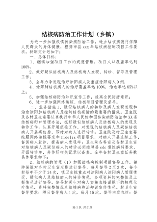 结核病防治工作计划（乡镇）