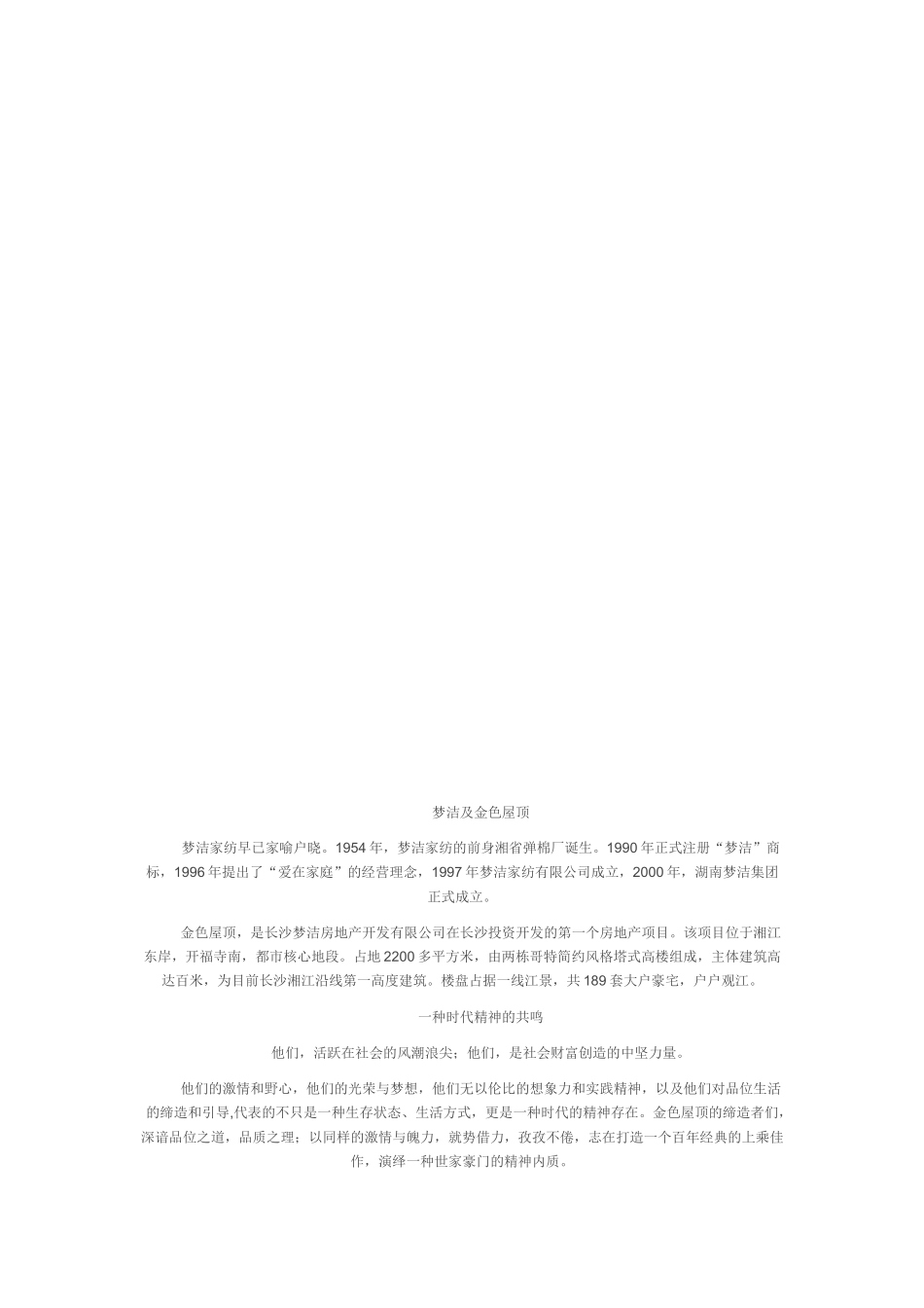 大户型营销策略_第3页