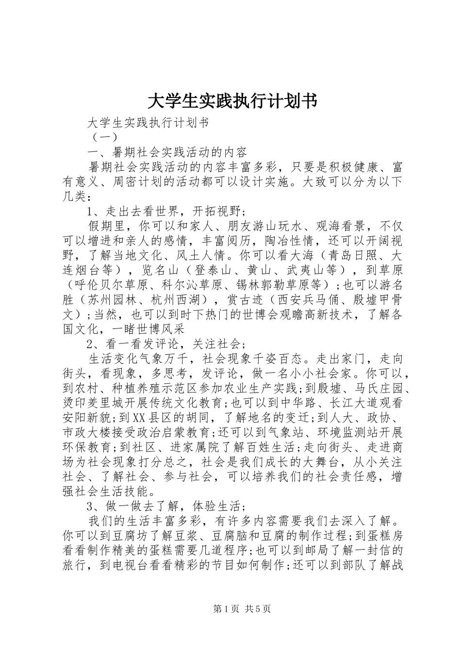 大学生实践执行计划书_第1页