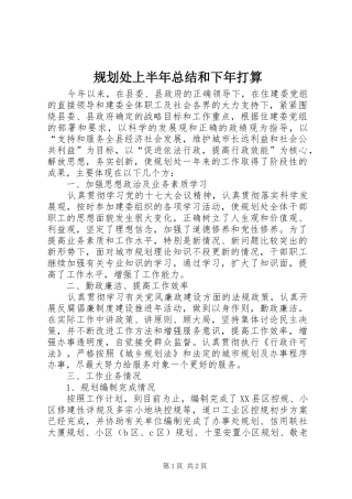 规划处上半年总结和下年打算