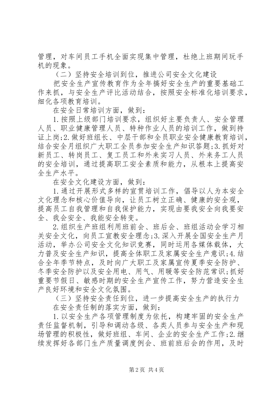 公司安全生产年度计划_第2页