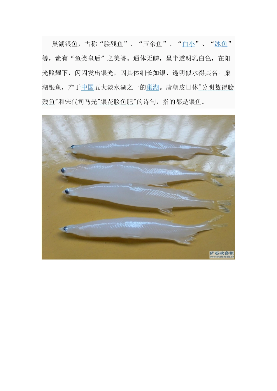 巢湖土特产营销现状的对策分析_第2页