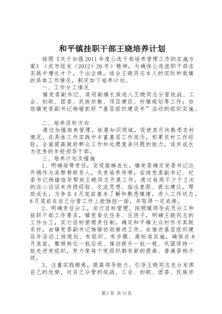 和平镇挂职干部王晓培养计划