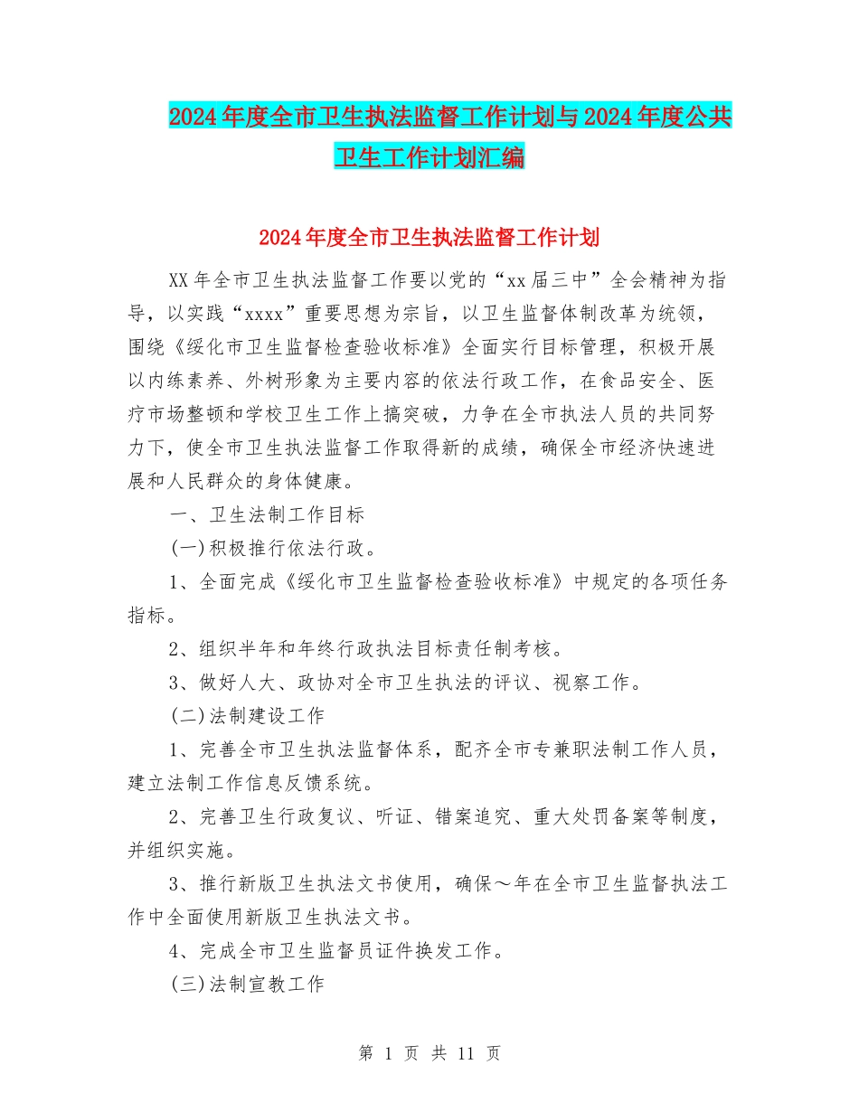 2024年度全市卫生执法监督工作计划与2024年度公共卫生工作计划汇编_第1页
