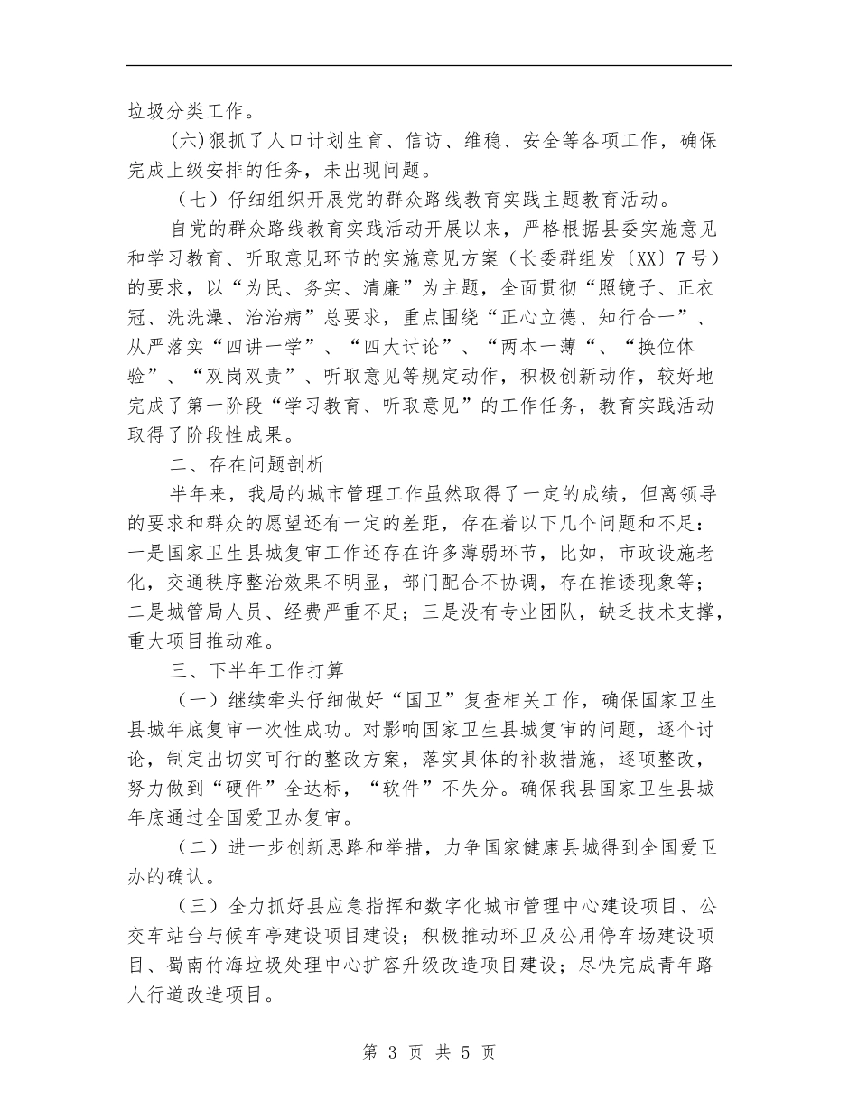 城管局2024年上半年工作自查报告_第3页