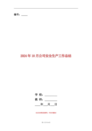 2024年10月公司安全生产工作总结