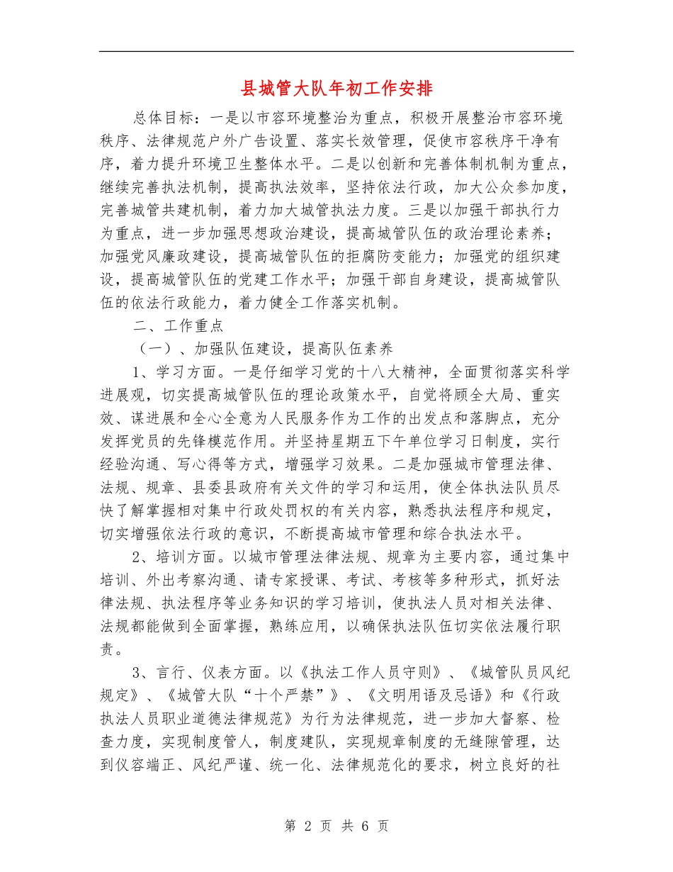 县城管大队年初工作安排_第2页
