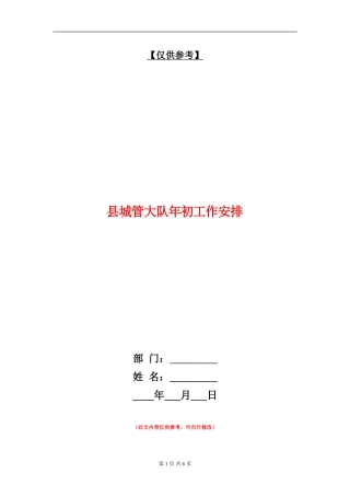 县城管大队年初工作安排