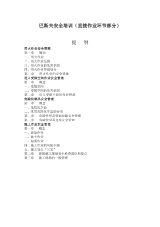 直接作业环节培训材料(巴斯夫)