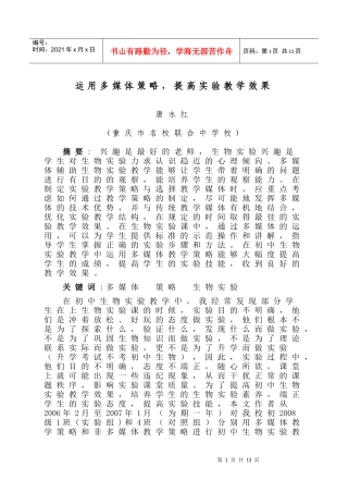 运用多媒体策略