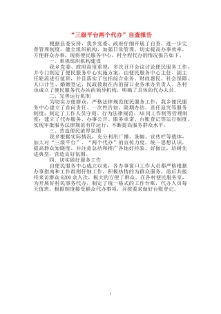 “三级平台两个代办”自查报告