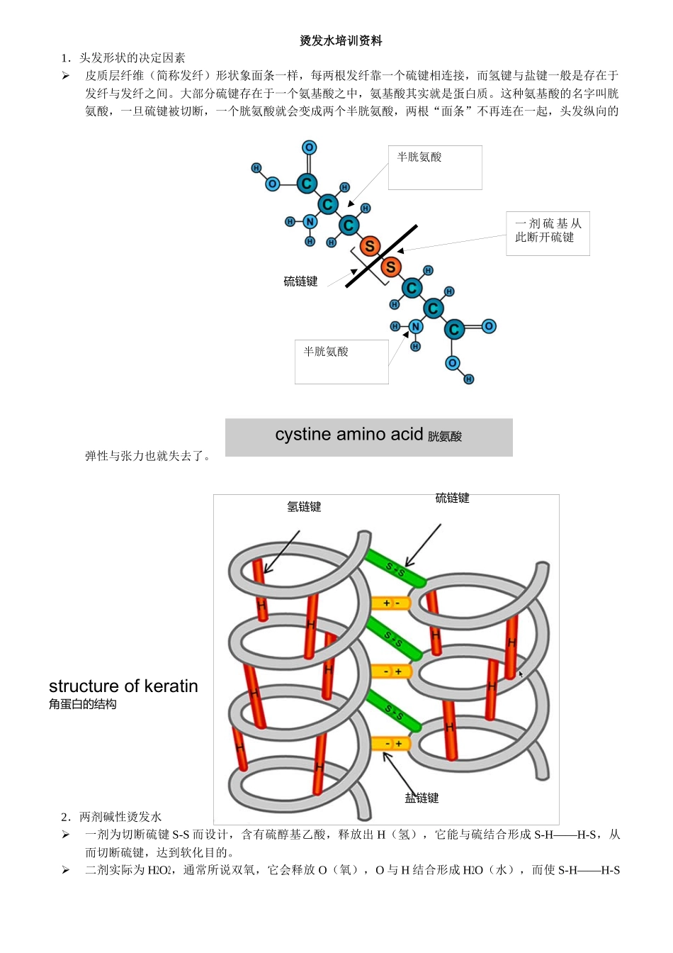 烫发水培训资料_第1页