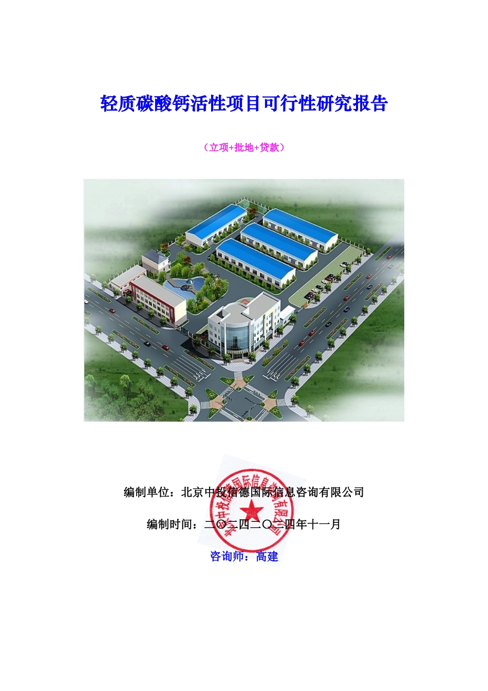 轻质碳酸钙活性项目可行性研究报告_第1页