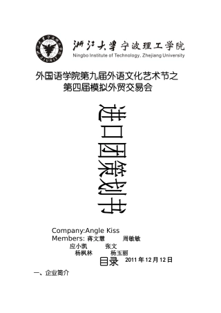 进口团策划书