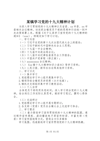 某镇学习党的十九大精神计划