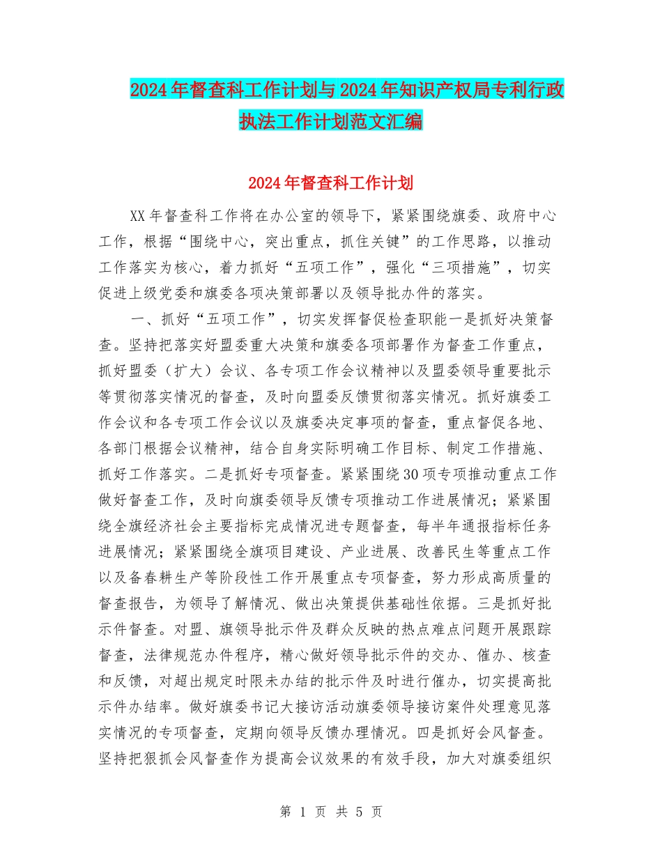 2024年督查科工作计划与2024年知识产权局专利行政执法工作计划范文汇编.doc_第1页