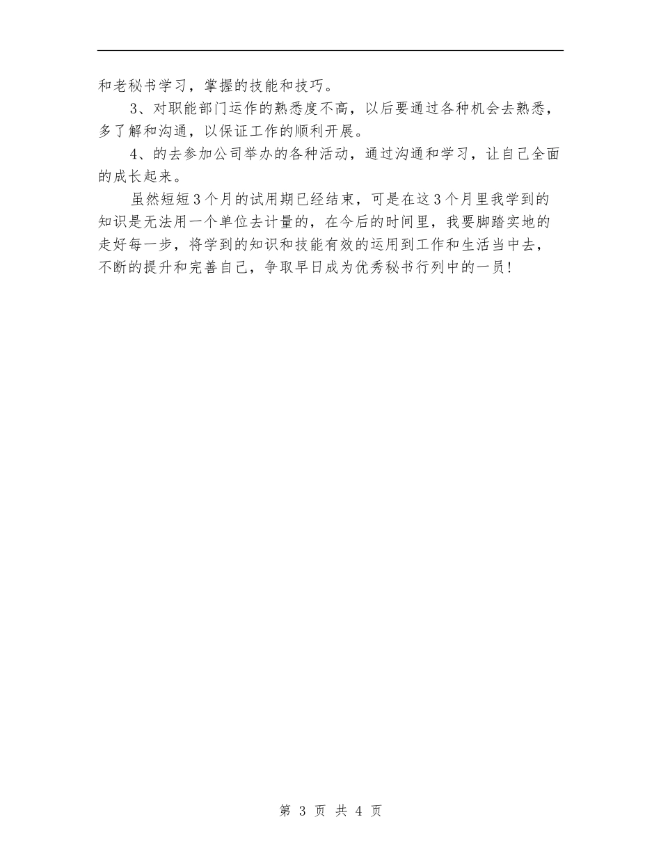 2024年秘书试用期的工作总结_第3页