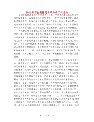 2024年市打黑除恶专项斗争工作总结