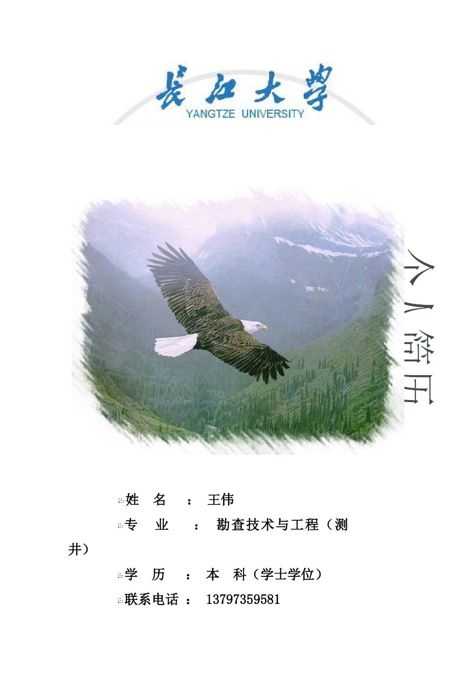 找工作简历各种封面_第2页