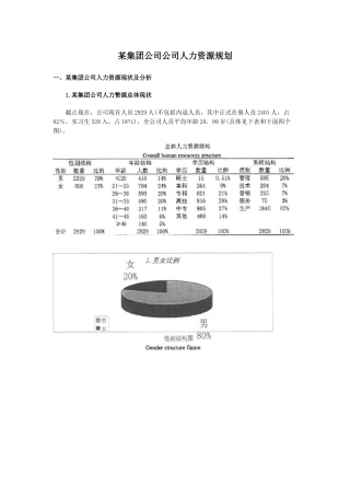 某客车集团公司公司人力资源规划