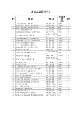 重点工业招商项目