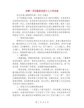 村第一书记脱贫攻坚个人工作总结