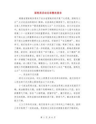 国税局活动总结整改报告