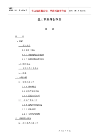 金山项目分析报告