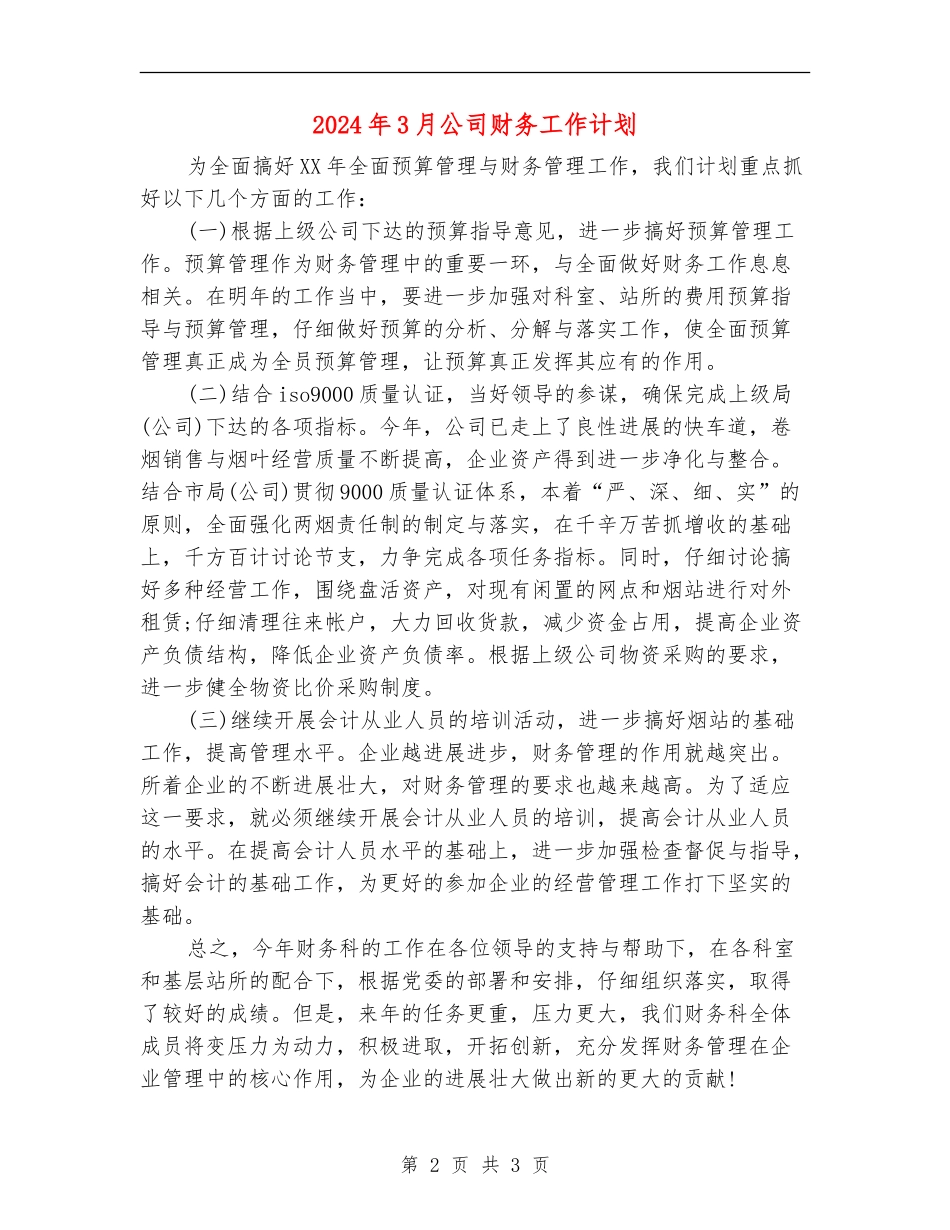2024年3月公司财务工作计划_第2页