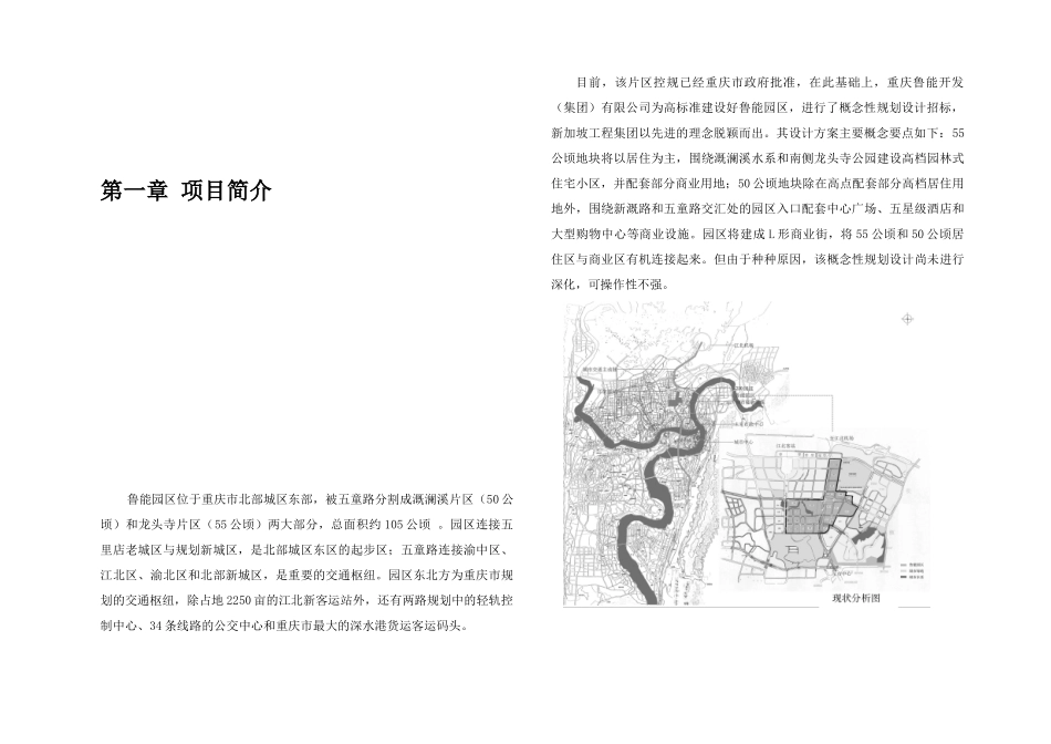 重庆市鲁能中房策划方案建议书_第2页